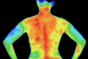 Thermography and thermal imaging services in McAllen, Texas by Thermography RGV