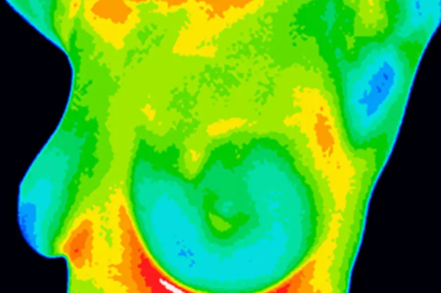 Thermography and thermal imaging services in McAllen, Texas by Thermography RGV